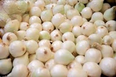 CEBOLLA BLANCA LB