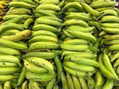 PLATANO UNIDAD