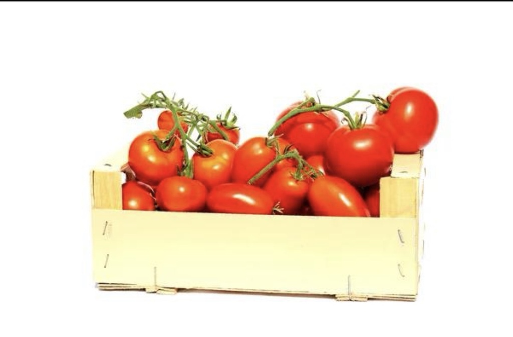 CAJA DE TOMATE