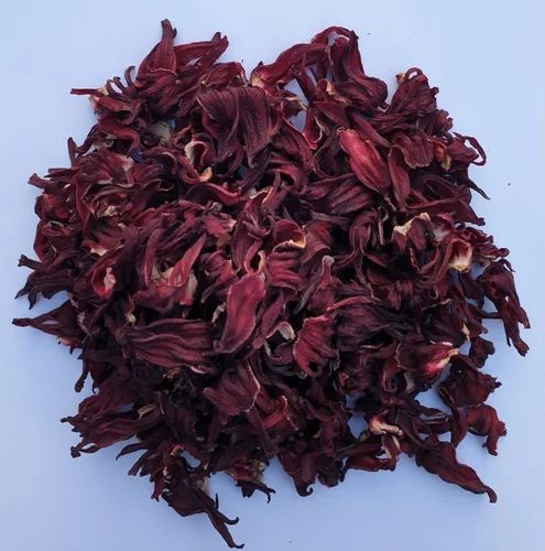 ROSA DE JAMAICA LB
