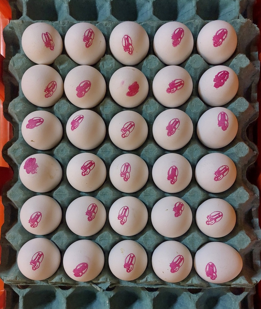 HUEVO GRANDE GRANEL CARTON