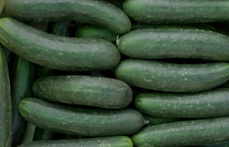 [PEPINO] PEPINO UNIDAD